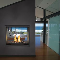 Napoleon High Definition 81 Direct Vent See-Thru Fireplace