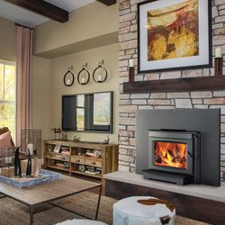 Napoleon S20I Wood Fireplace Insert