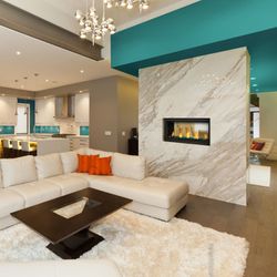 Napoleon Vector 38 Direct Vent See-Through Gas Fireplace