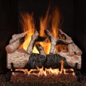 Charred Mountain Birch Enhanced