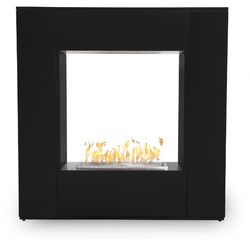 Williams See-through Powder Coat Steel Outdoor Gas Fireplace